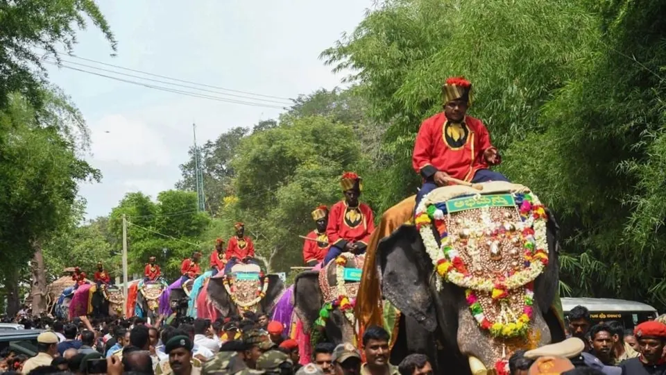 Mahouts in red turbans lead the elephants through the streets